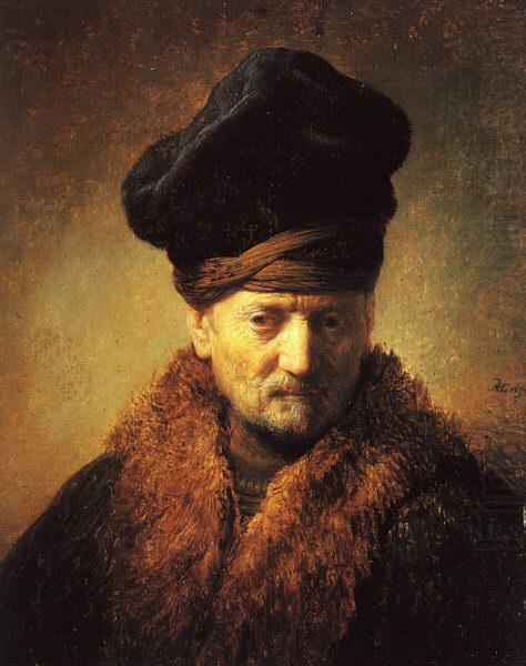 Bust of an Old Man in a Fur Cap fj, REMBRANDT Harmenszoon van Rijn